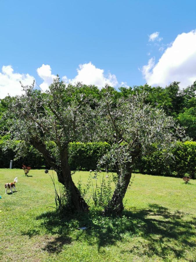 Villa Giulia Gragnola Exterior photo